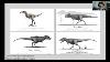 Cretaceous Kings Of Canada How Alberta Has Shaped Our Understanding Of Tyrannosaur Dinosaurs